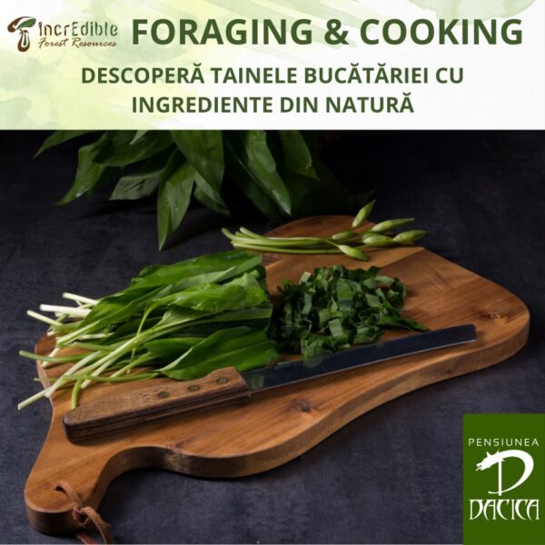 descopera-tainele bucatariei-cu ingrediente-din-natura